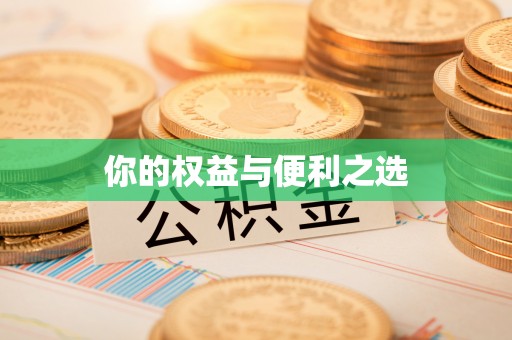绥中你的权益与便利之选