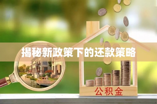 绥中揭秘新政策下的还款策略