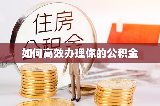 绥中如何高效办理你的公积金