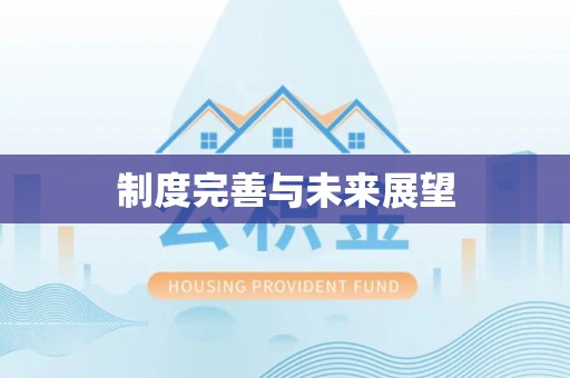 绥中制度完善与未来展望