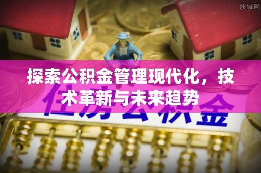 绥中探索公积金管理现代化，技术革新与未来趋势