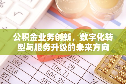 绥中公积金业务创新，数字化转型与服务升级的未来方向