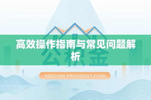 绥中高效操作指南与常见问题解析