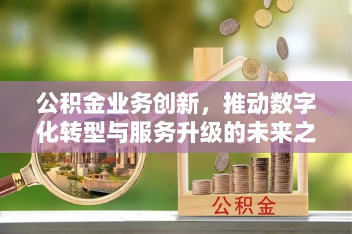 绥中公积金业务创新，推动数字化转型与服务升级的未来之路