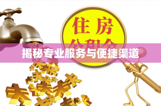 绥中揭秘专业服务与便捷渠道