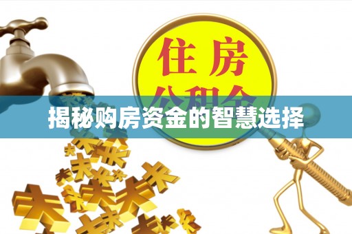 绥中揭秘购房资金的智慧选择