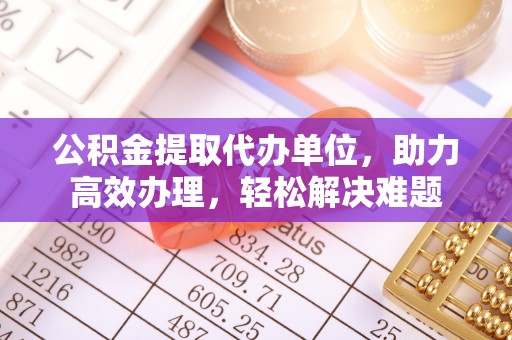 绥中公积金提取代办单位，助力高效办理，轻松解决难题