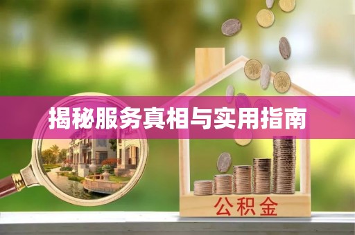 绥中揭秘服务真相与实用指南