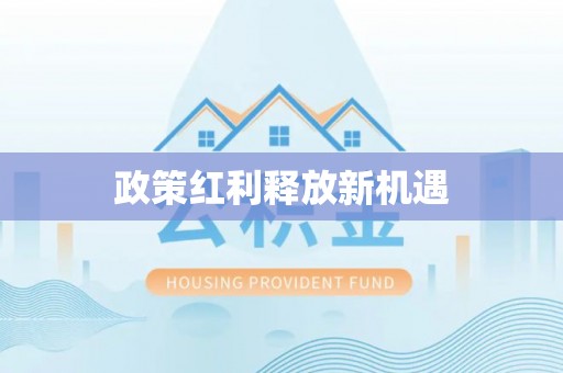 绥中政策红利释放新机遇