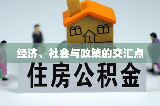 绥中经济、社会与政策的交汇点