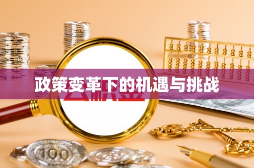 绥中政策变革下的机遇与挑战