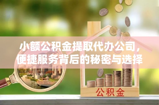 绥中小额公积金提取代办公司，便捷服务背后的秘密与选择指南