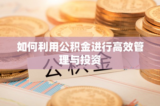 绥中如何利用公积金进行高效管理与投资