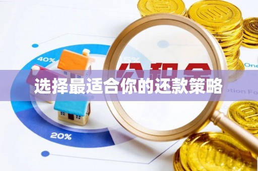 绥中选择最适合你的还款策略