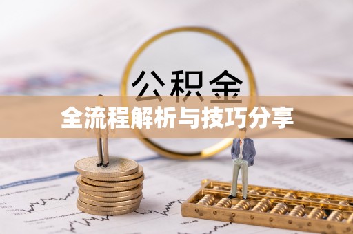 绥中全流程解析与技巧分享