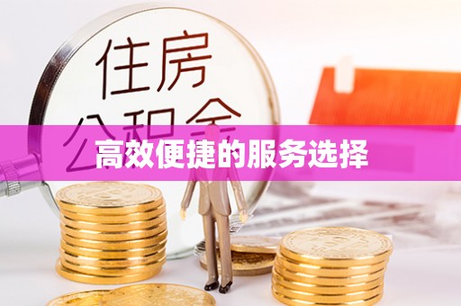 绥中高效便捷的服务选择