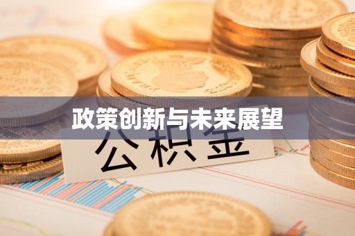 绥中政策创新与未来展望