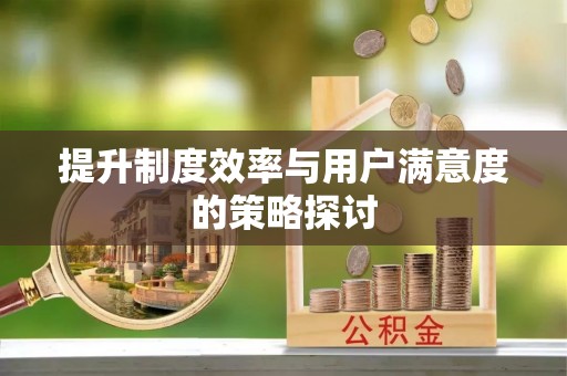 绥中提升制度效率与用户满意度的策略探讨