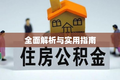 绥中全面解析与实用指南