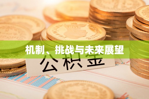 绥中机制、挑战与未来展望